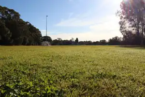 2025-06-30 Scarborough Park - IMG_2832_compressed_q50.webp